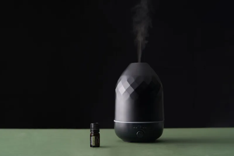 Not All Diffusers Are Equal: How to Pick the One That Actually Does Something